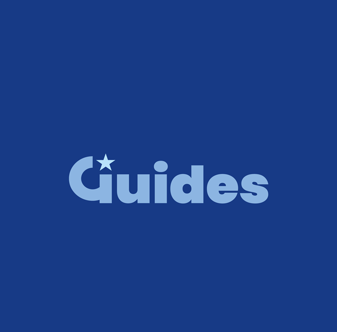 <a href="/sections/#guides">Guides</a>